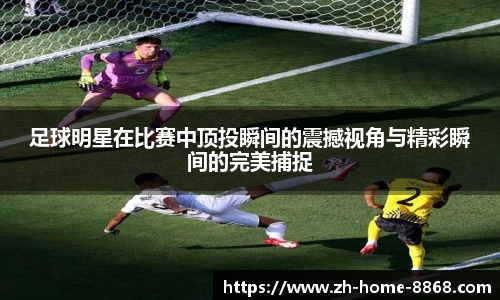 8868体育网页版在线